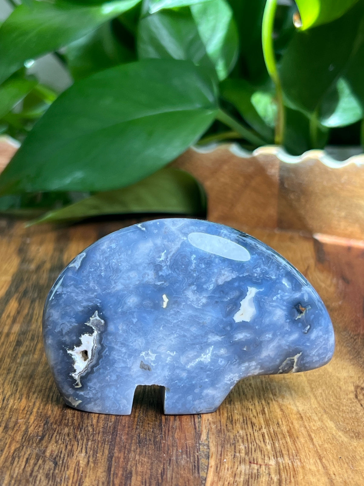 Blue Plume Agate Bear: DA