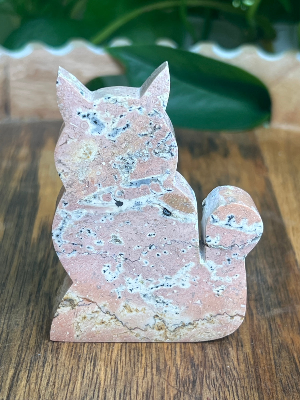 Dendritic Jasper Cat: AC