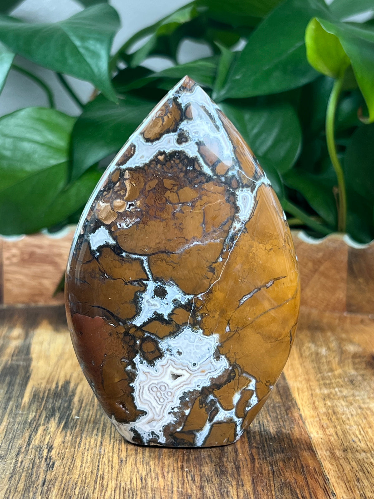 Brecciated Jasper Flame: C
