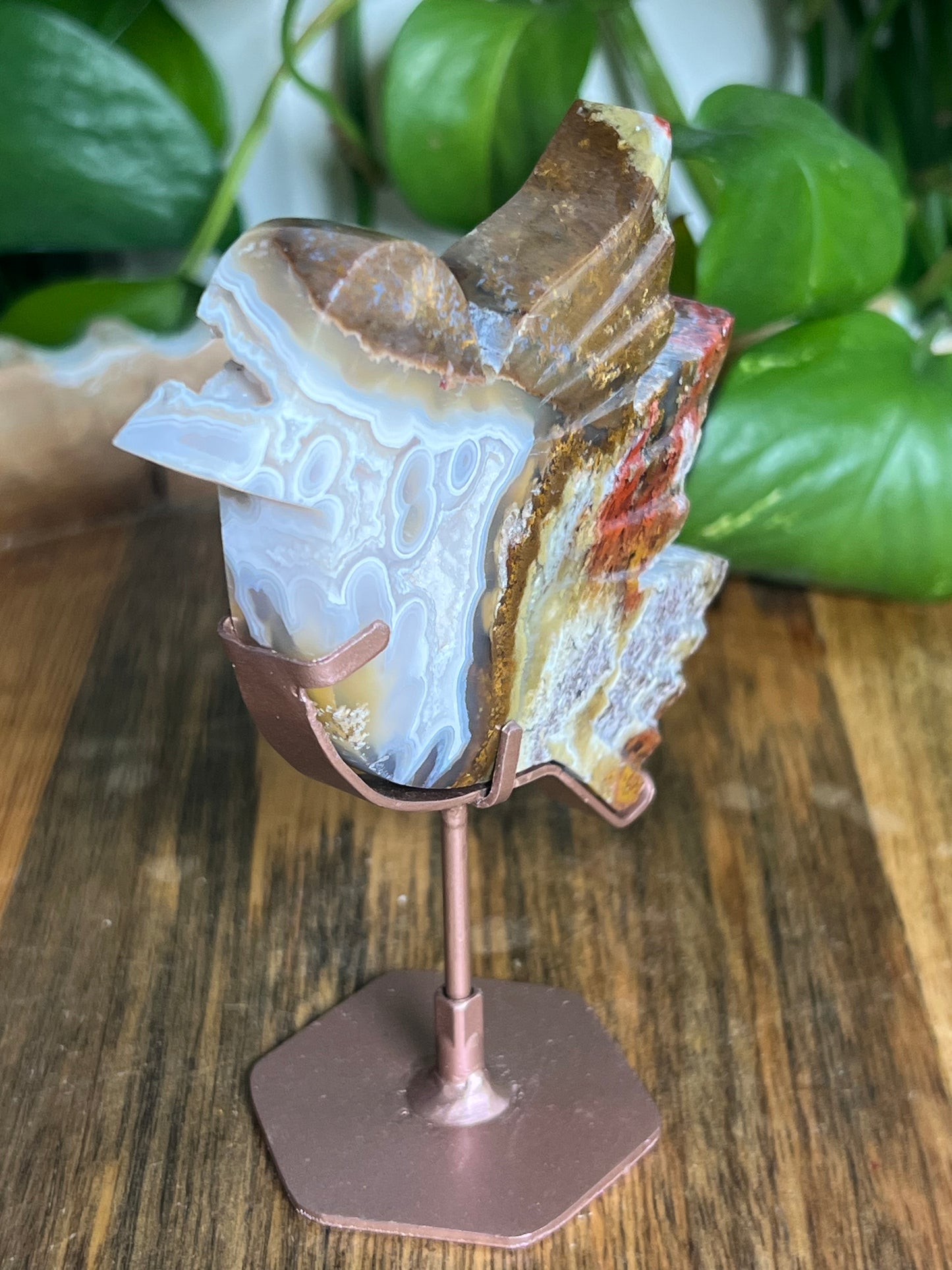 Scenic Moss Agate Bird