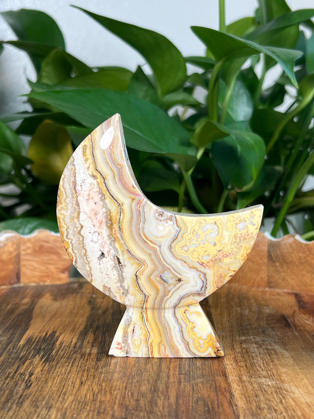 Yellow Crazy Lace Agate Self Standing Moons