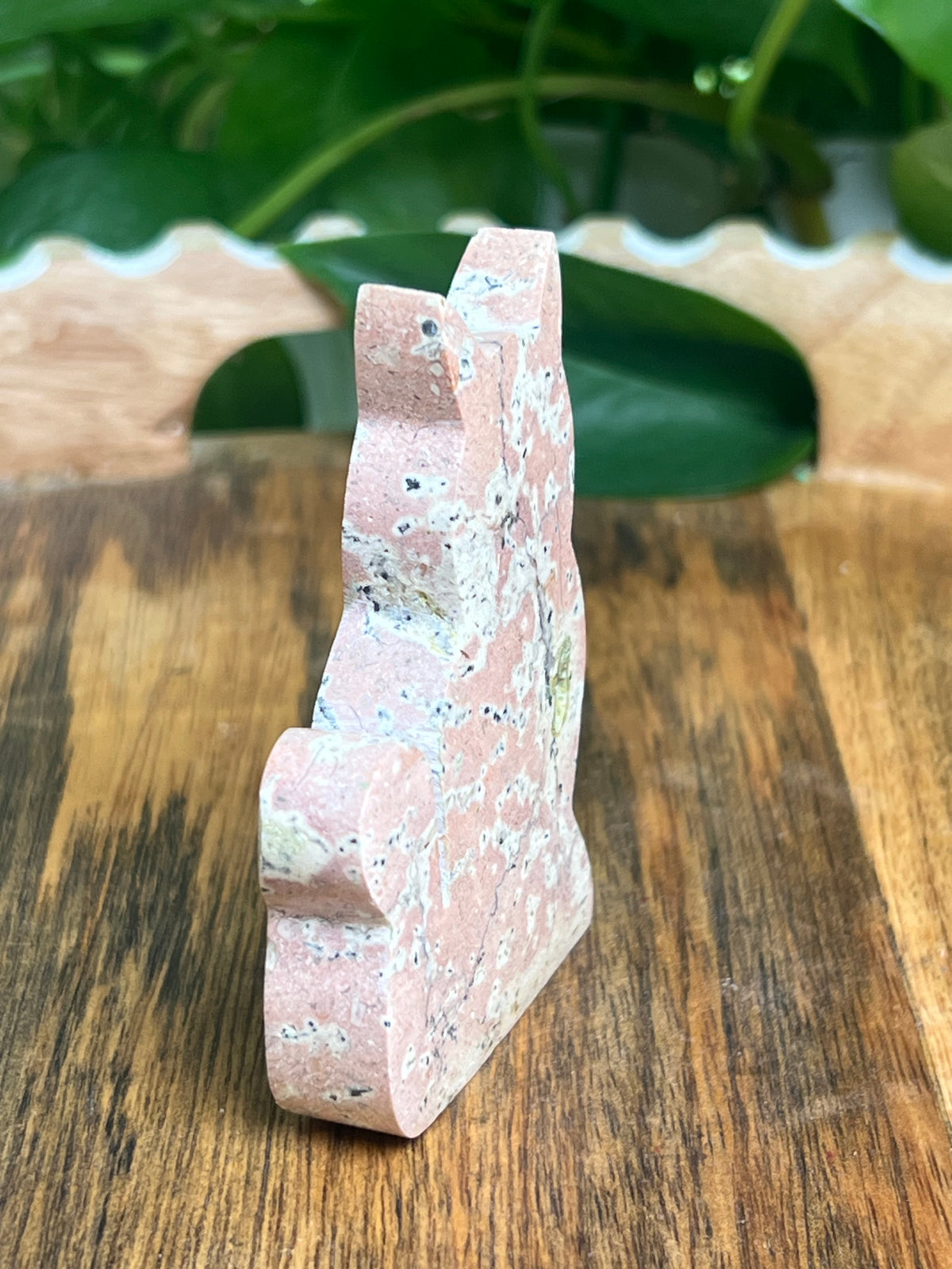 Dendritic Jasper Cat: AK