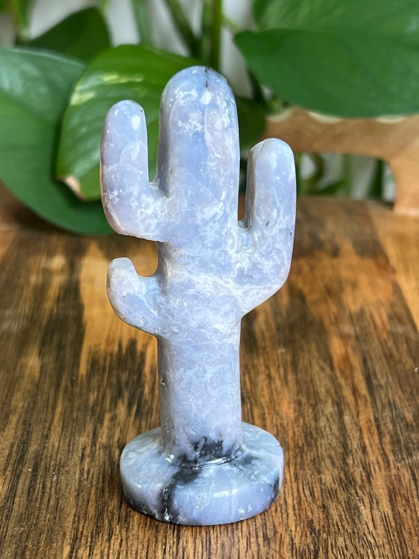 Blue Plume Agate Cactus: Q