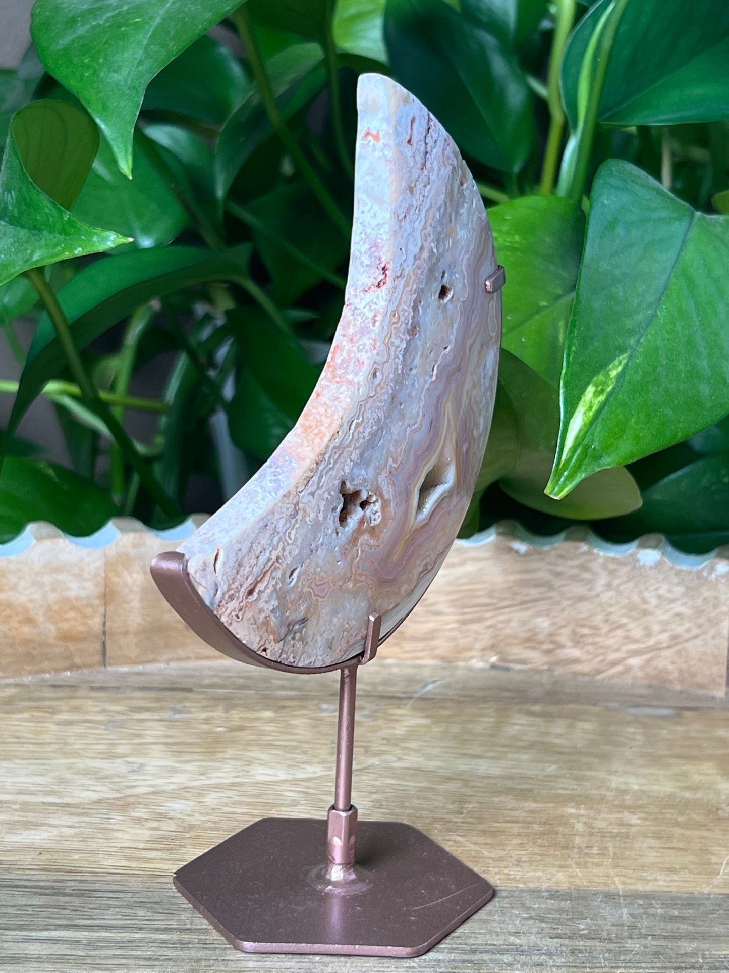Crazy Lace Agate Moon