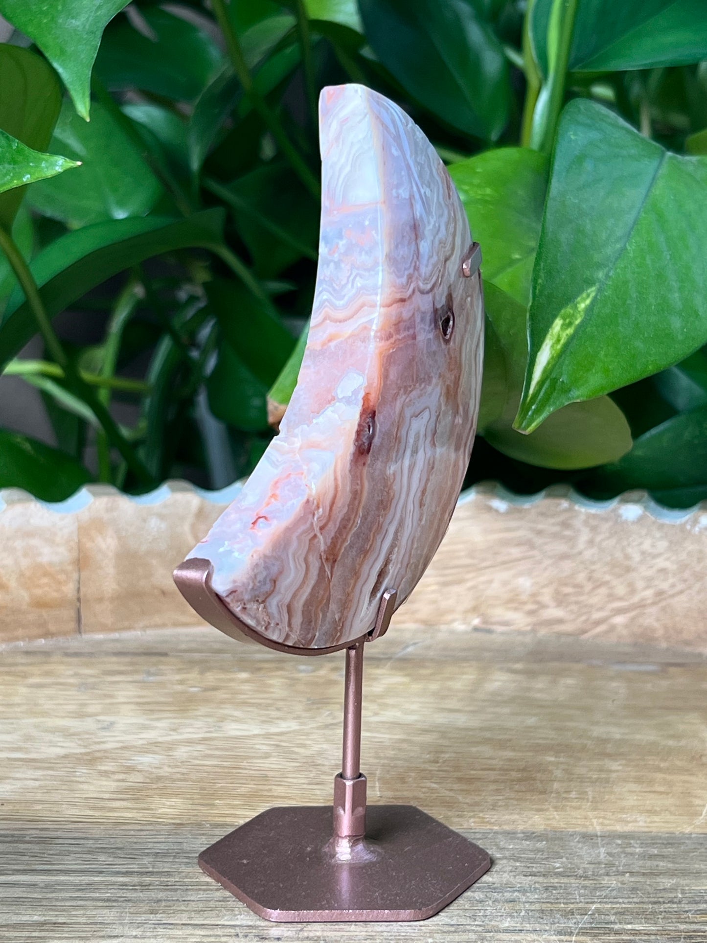 Crazy Lace Agate Moon