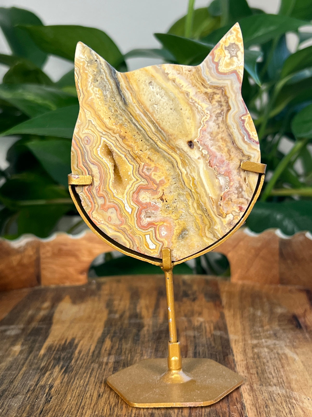Yellow Crazy Lace Agate Cat Heads