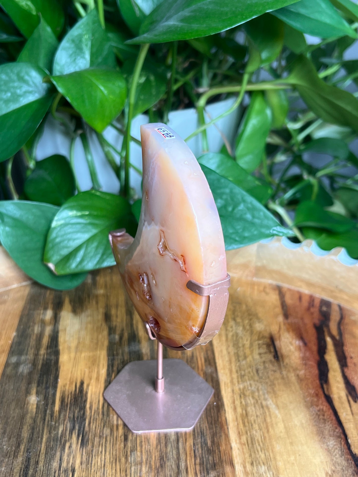 Carnelian Moon: BB