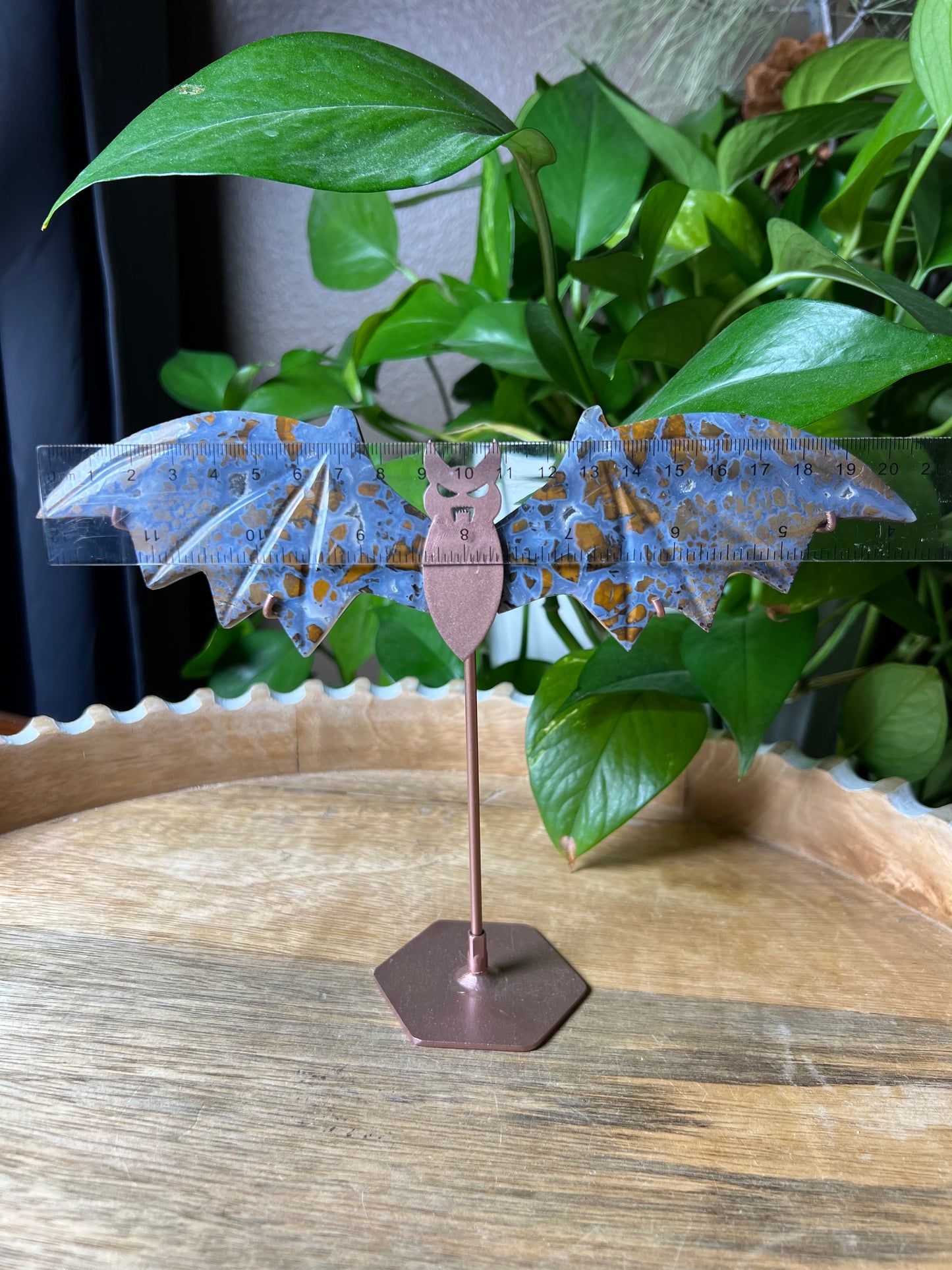 Brecciated Jasper Bat Wings