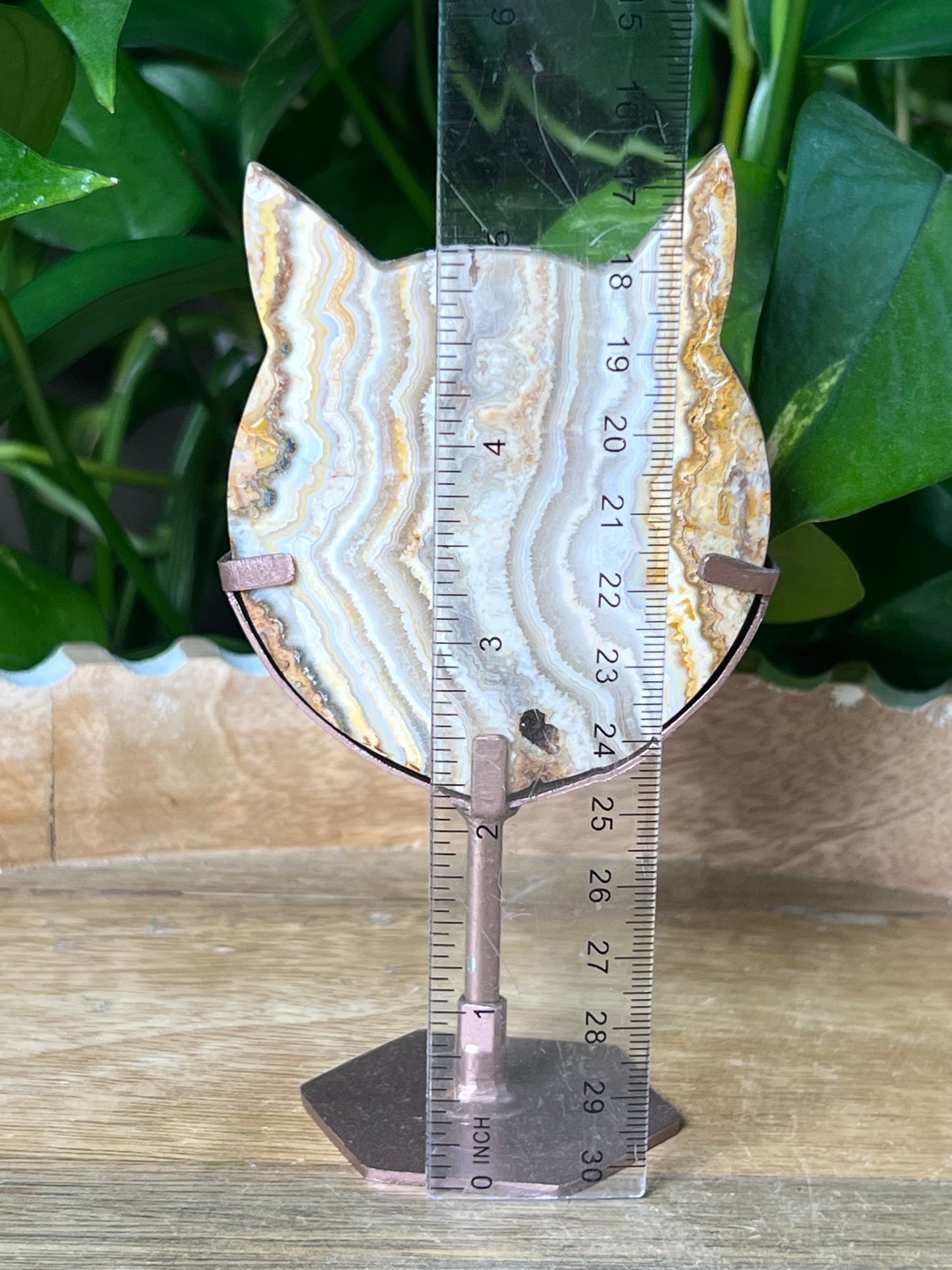 Crazy Lace Agate Cat Head
