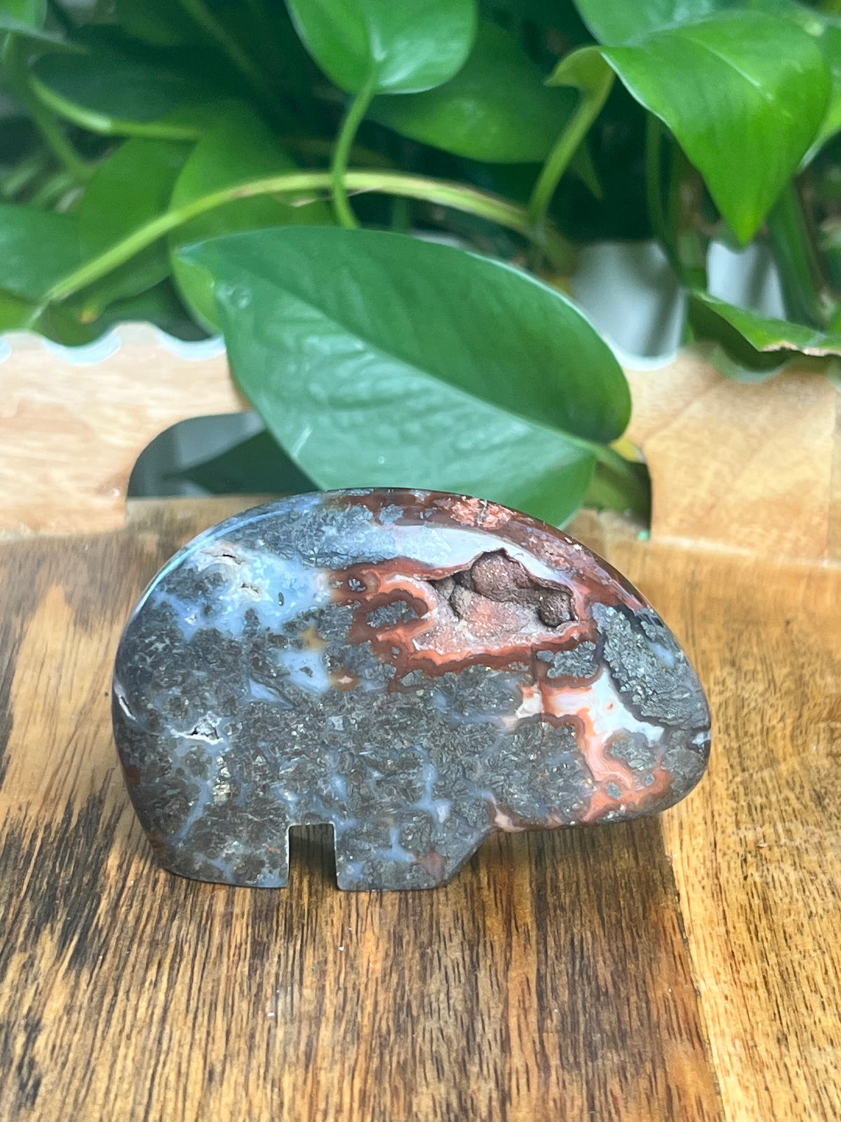 Marcasite Bear: TG