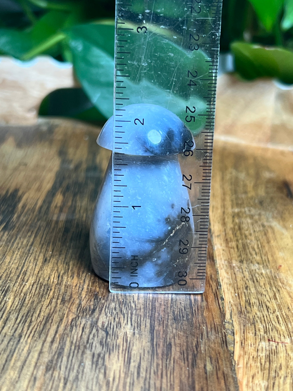 Blue Plume Agate Mushroom: TP