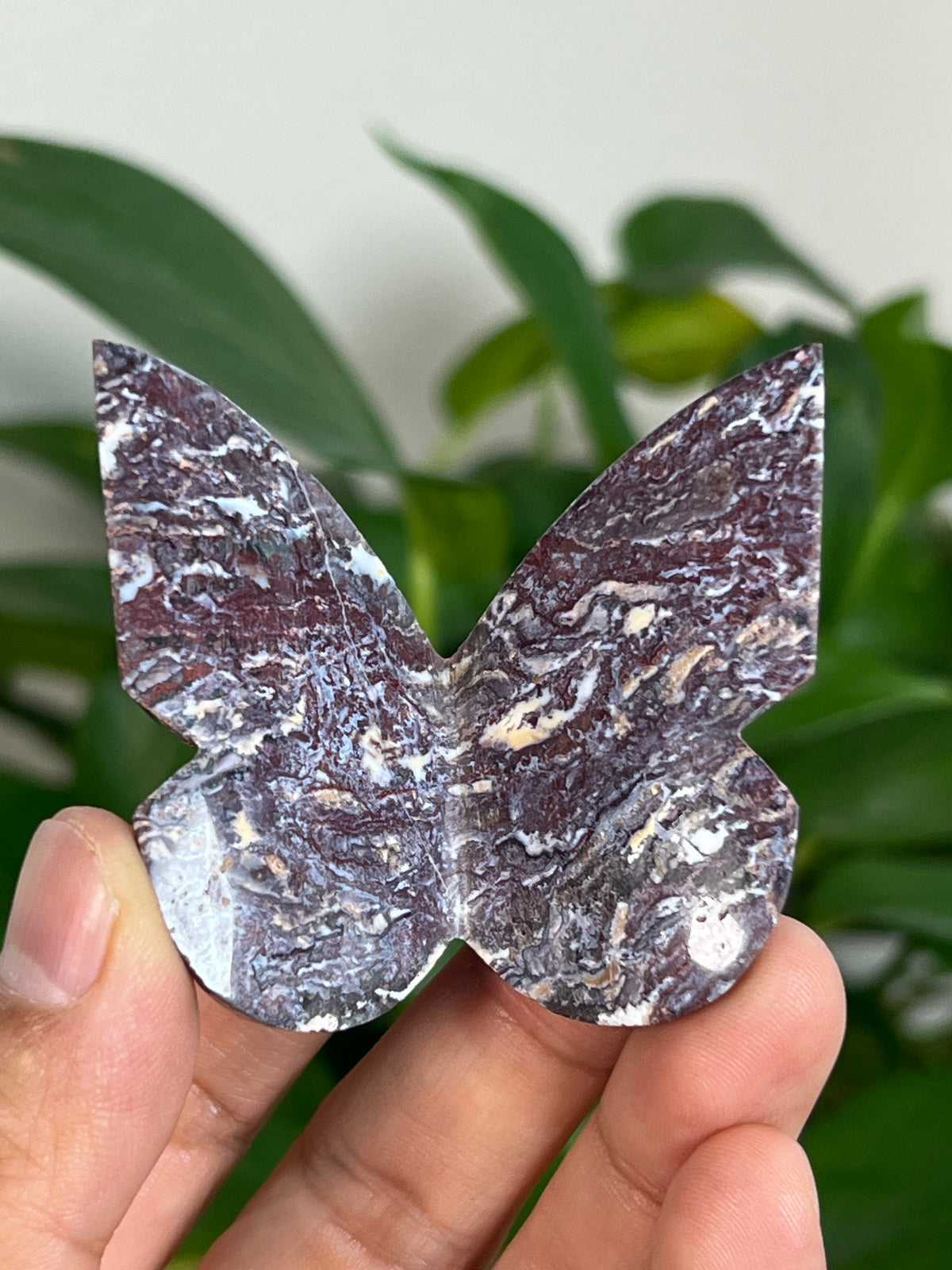 Burgundy River Jasper 3D Butterflies: Pointed Tips