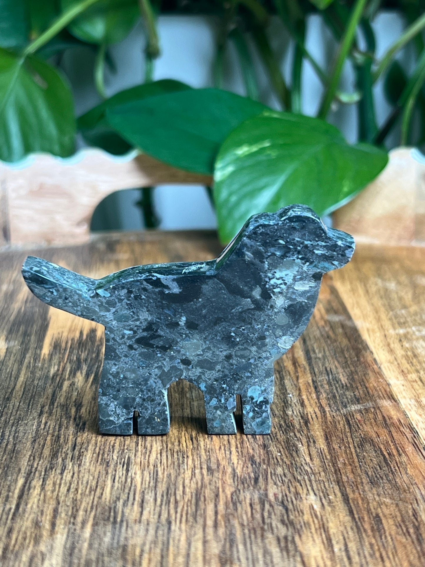 Blue Green Jasper Dog: BK
