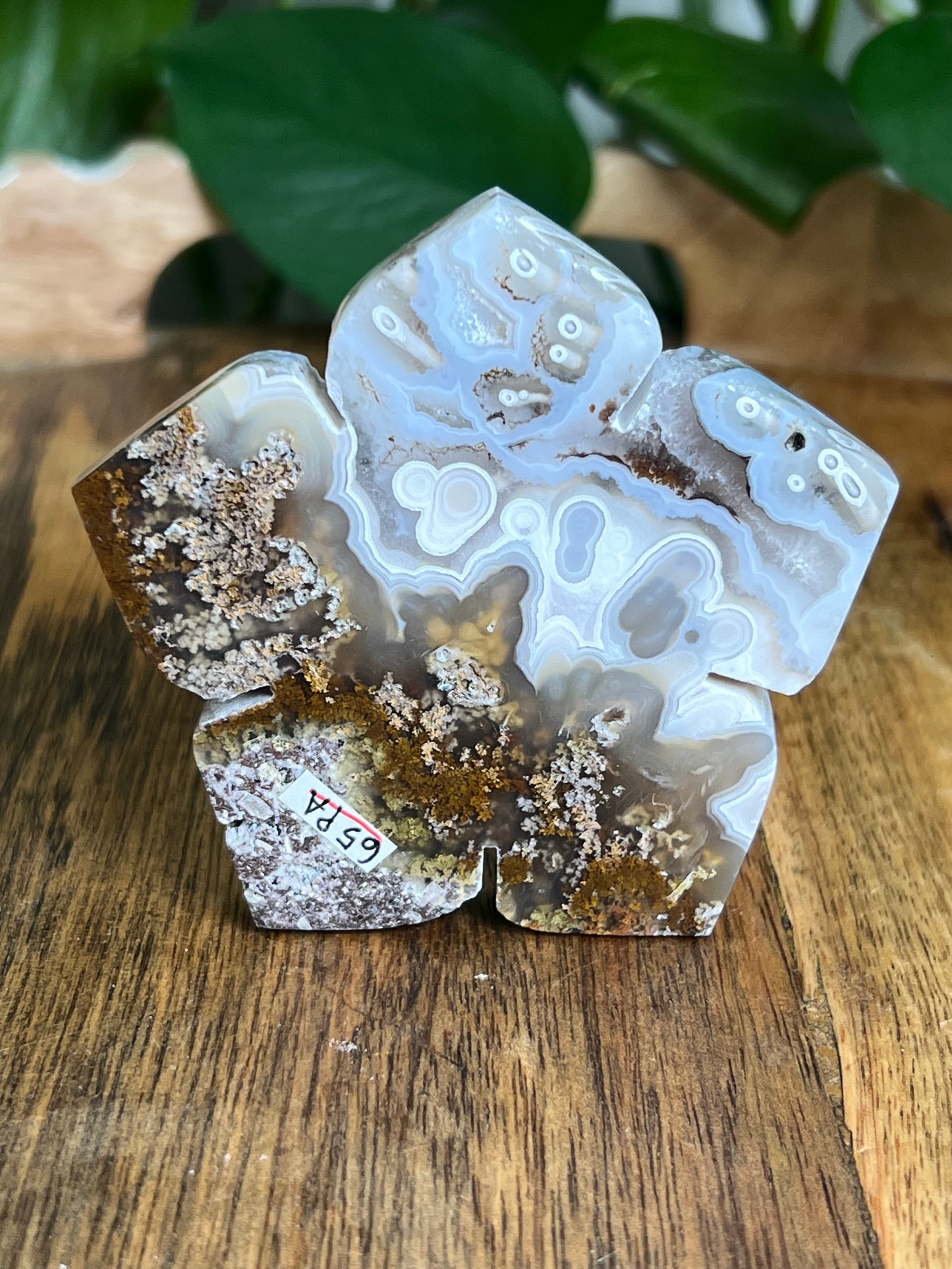Scenic Moss Agate Flower PA