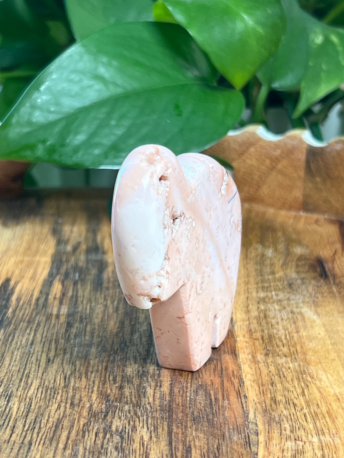 Pink Carnelian Buffalo: VD