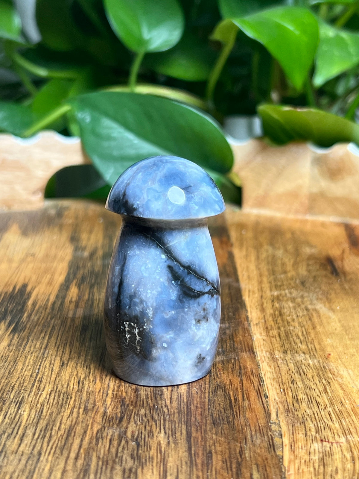 Blue Plume Agate Mushroom: A