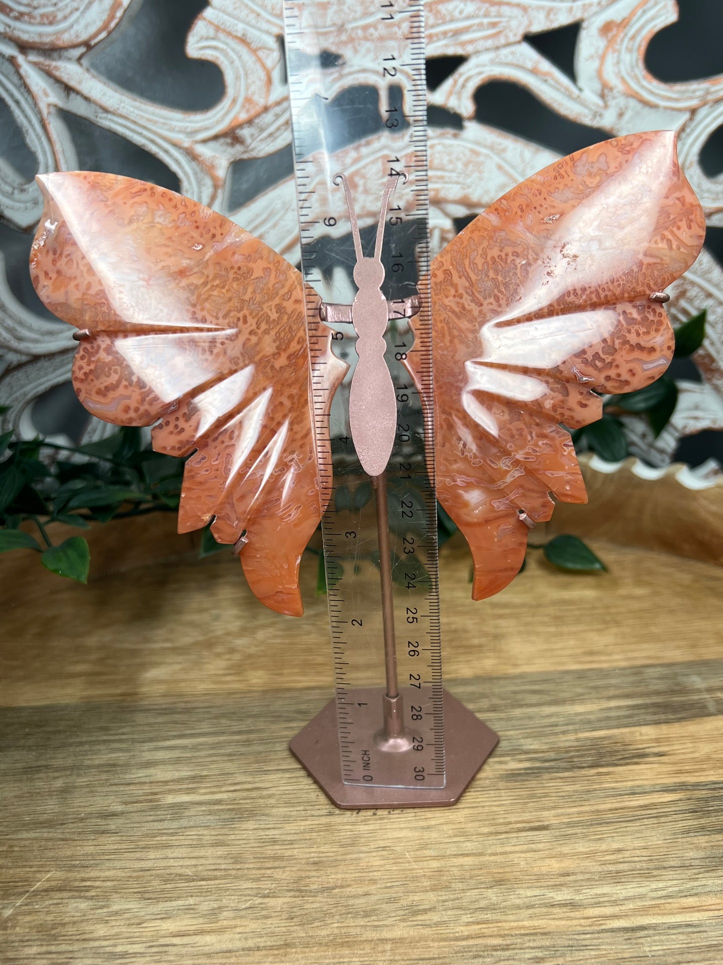Carnelian Wings