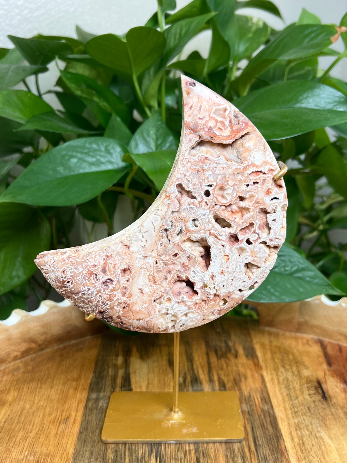 Crazy Lace Agate Moon: XT