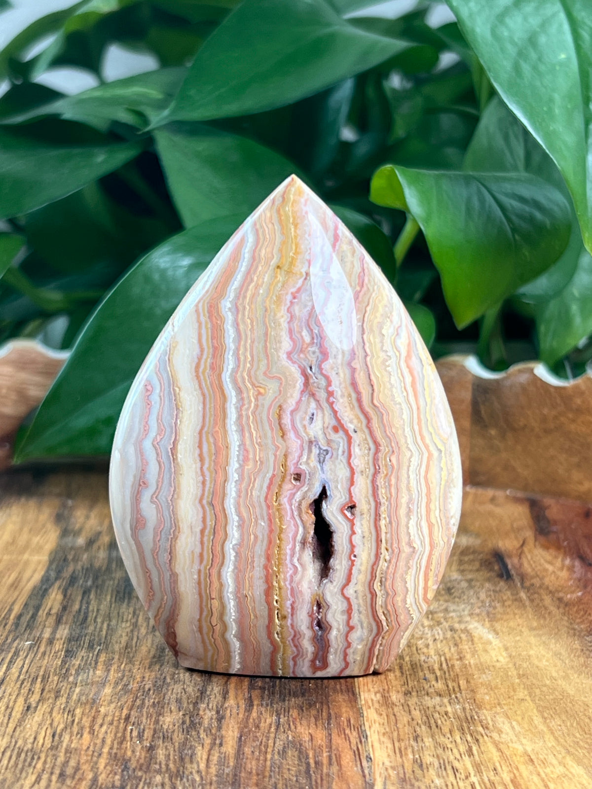Crazy Lace Agate Flame: BB