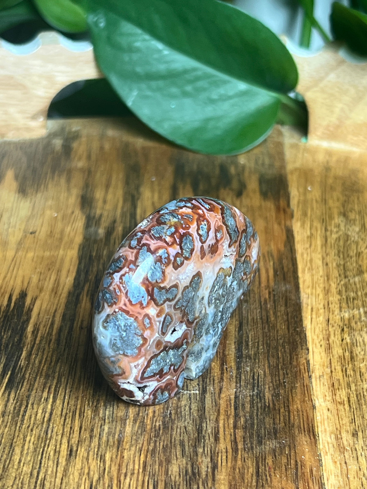Marcasite Mini Bear: RA