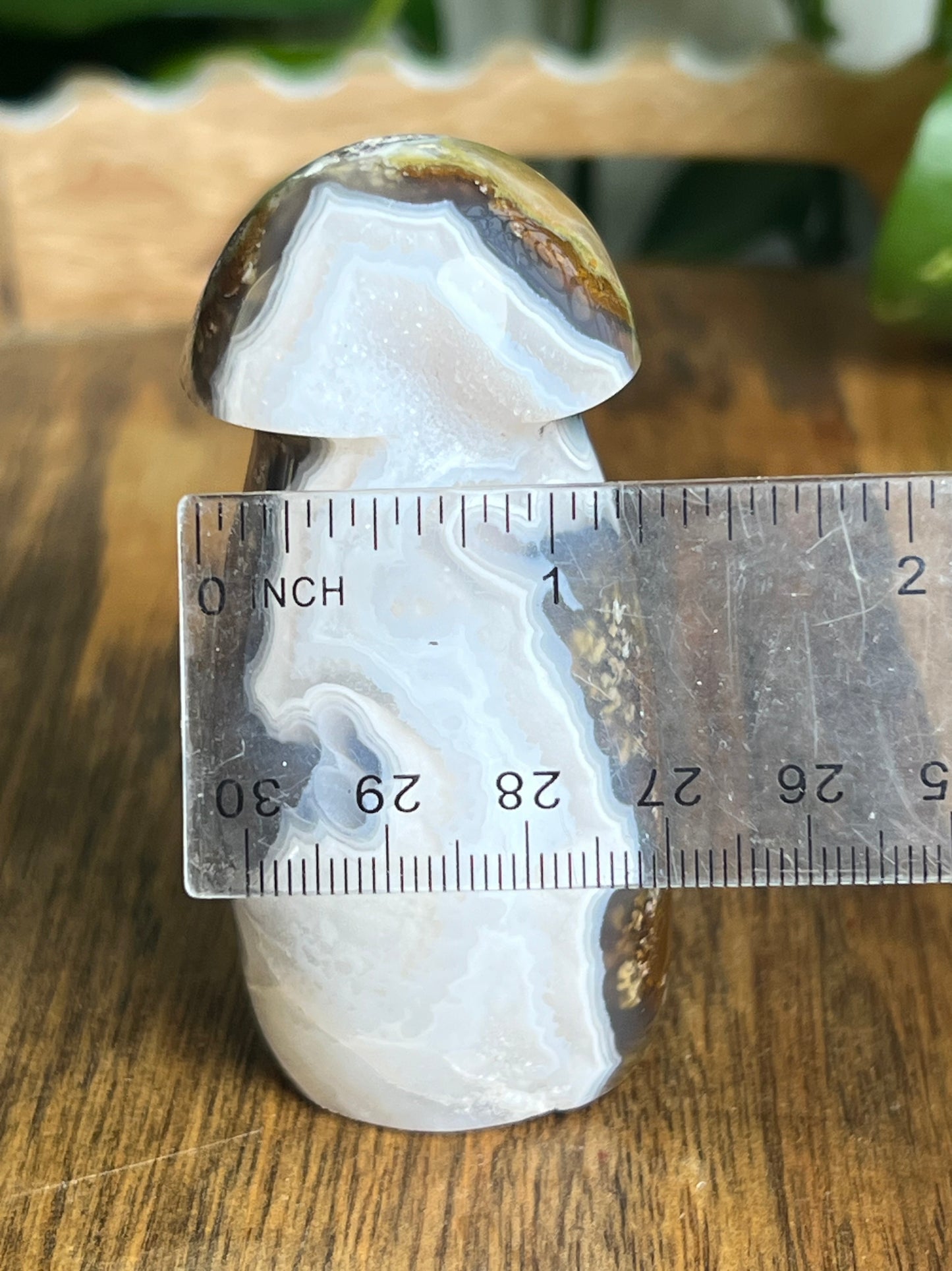 Scenic Moss Agate Mushroom