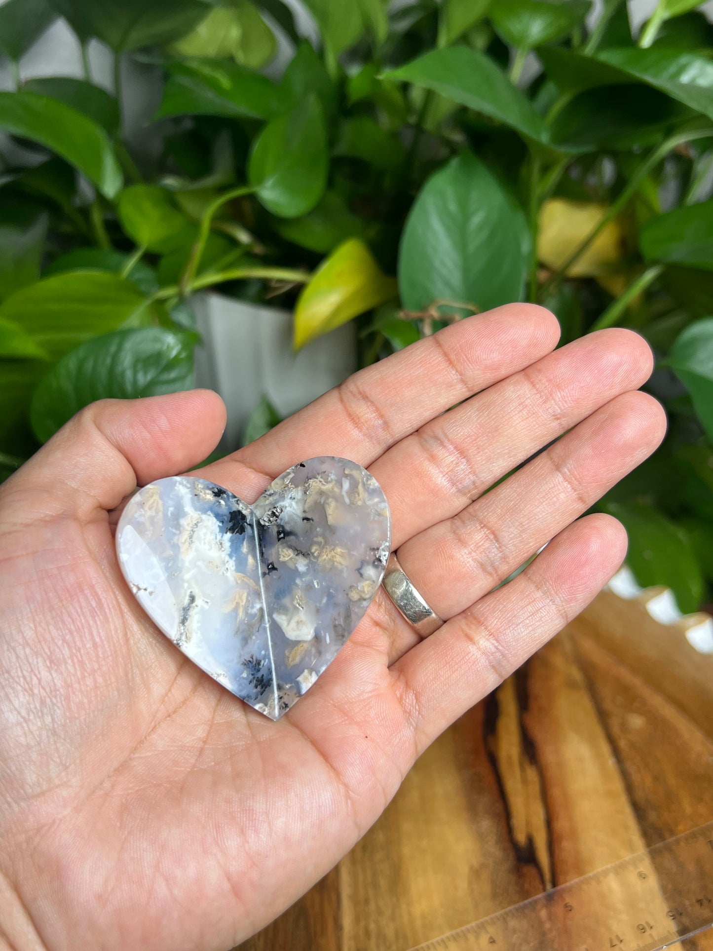 Dendritic Tiger Agate 3D Butterfly Hi