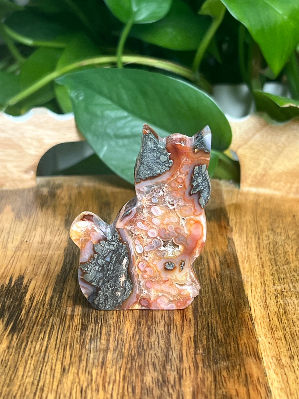 Marcasite Cat: XF