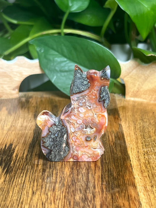 Marcasite Cat: XF