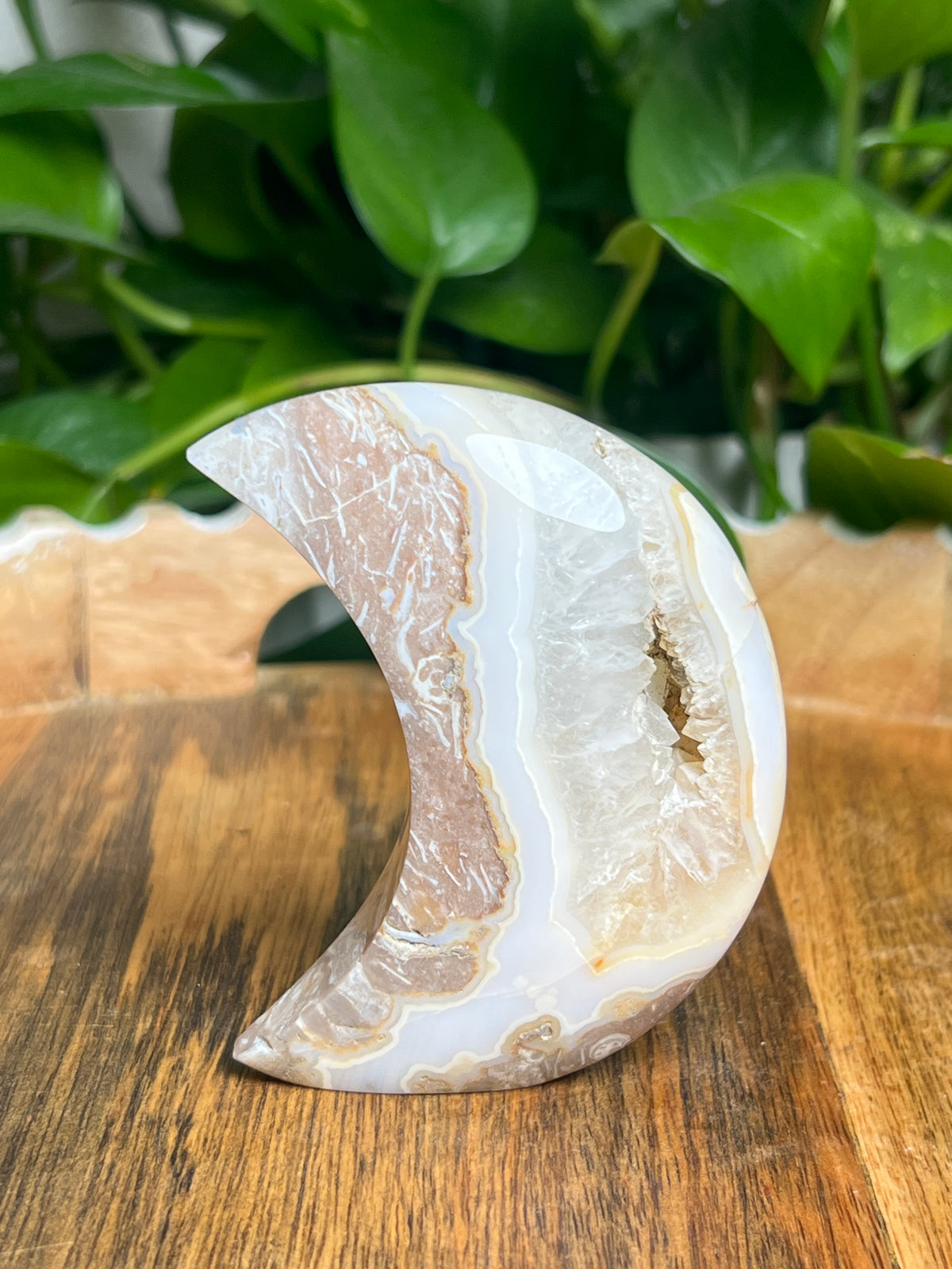 Sumatra Plume Agate Self-Standing Moon: NA
