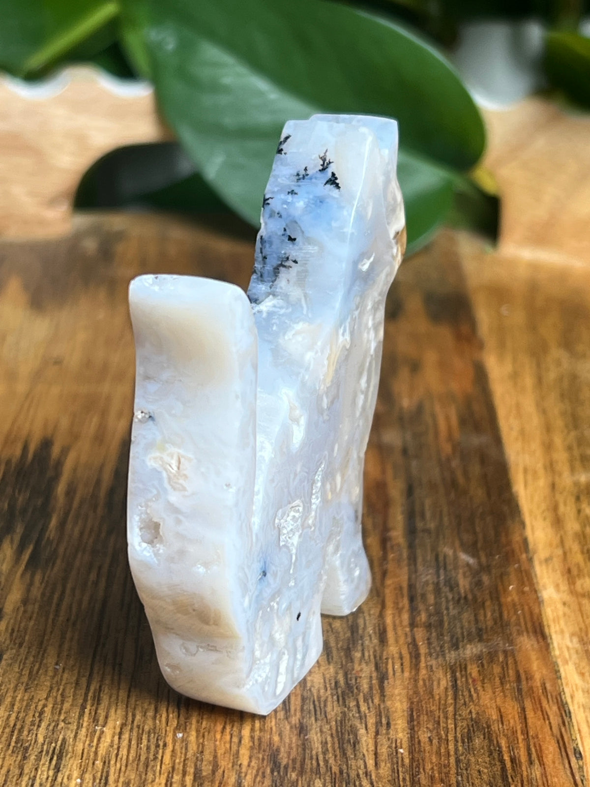 Dendritic Tiger Agate Cat: PE