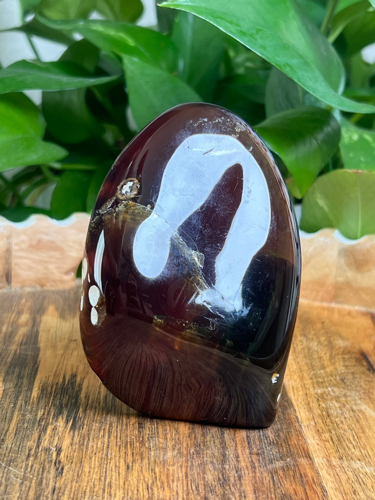 Blue Amber Freeform: F
