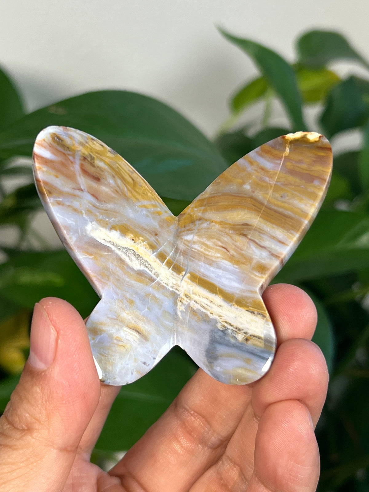 Milky River Jasper 3D Butterflies