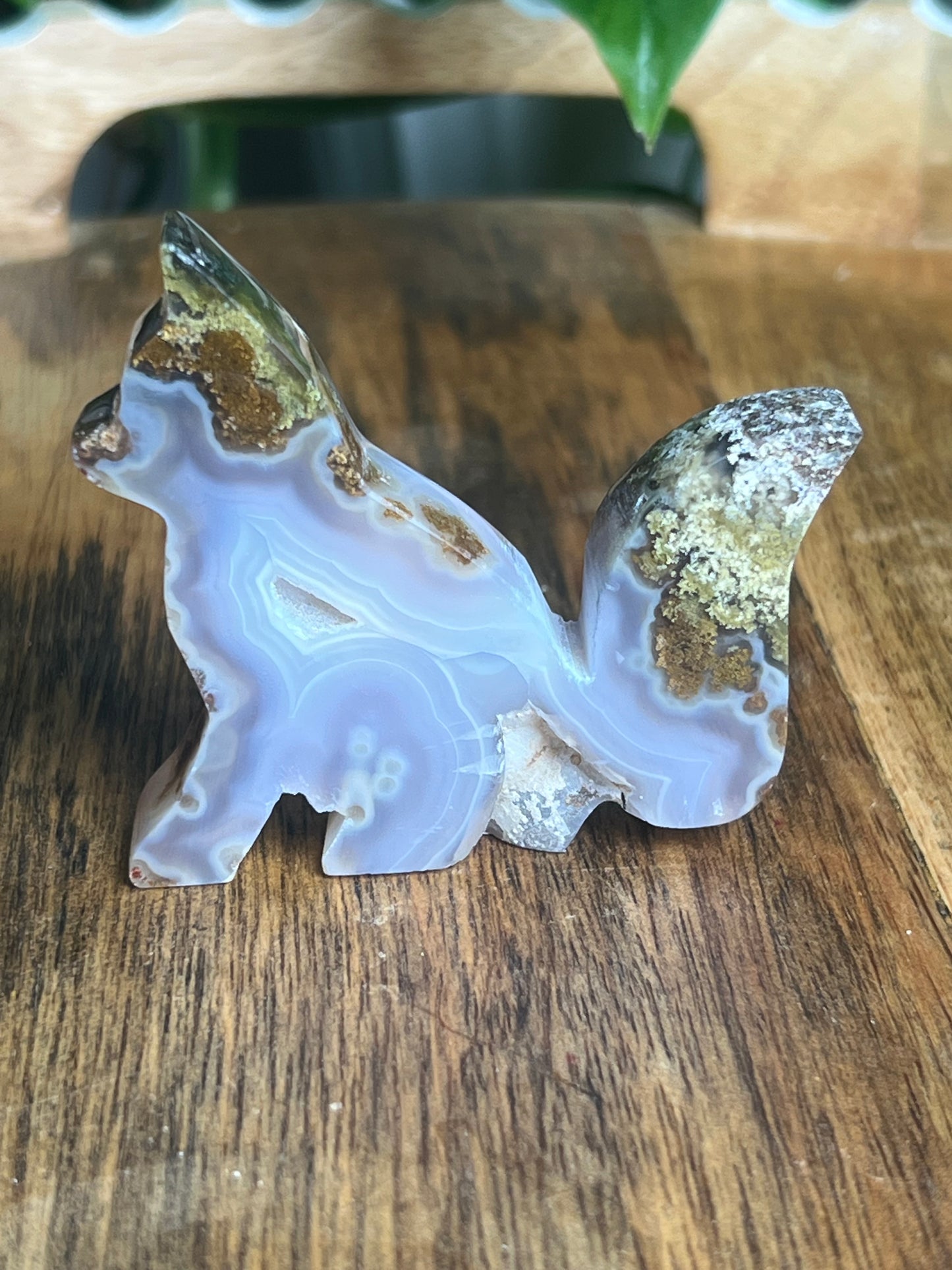 Scenic Moss Agate Fox PZ