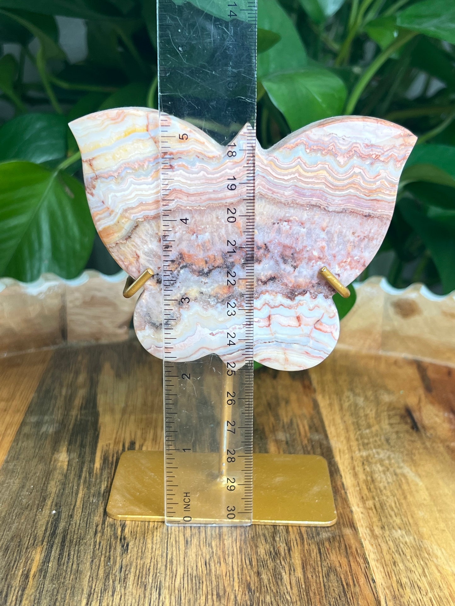 Crazy Lace Agate Butterfly: QX
