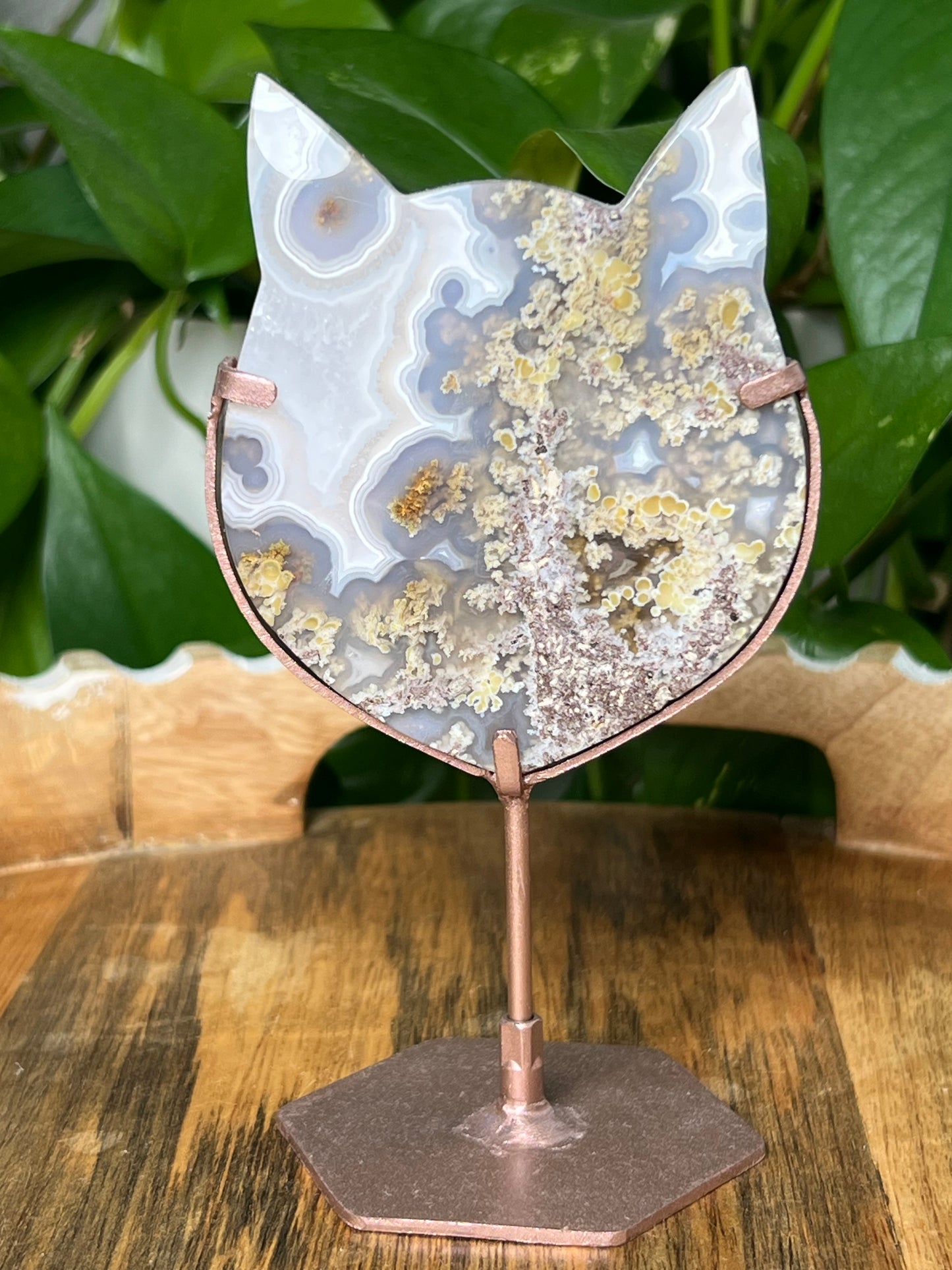 Scenic Moss Agate Cat