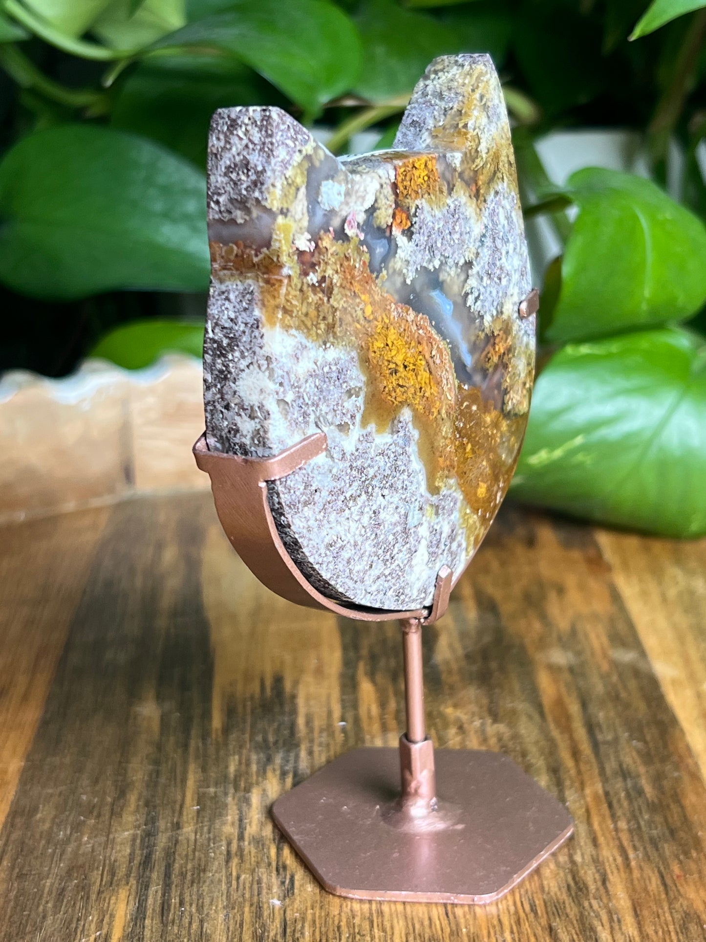 Scenic Moss Agate Cat Head