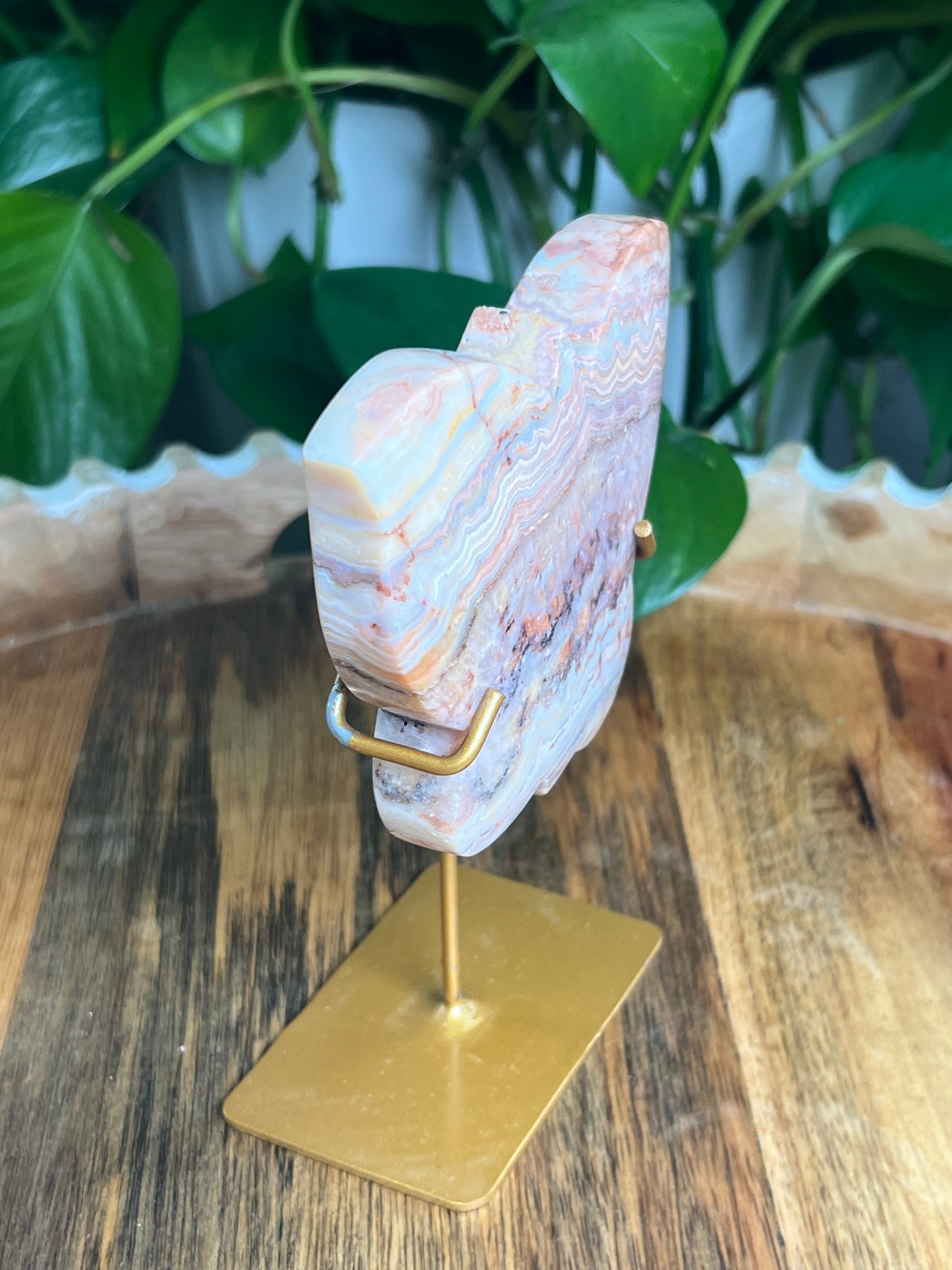Crazy Lace Agate Butterfly: QX