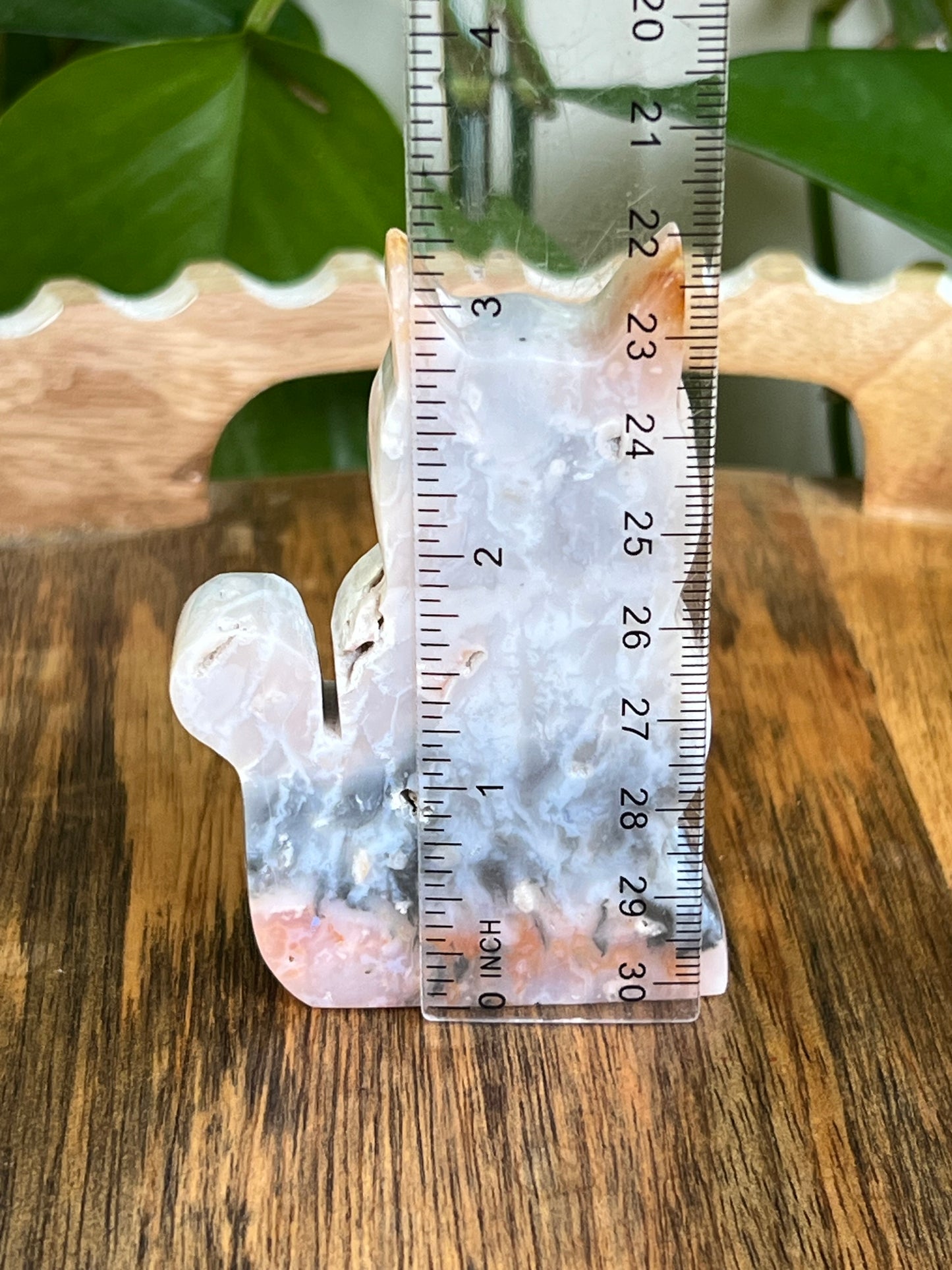 Rainbow Plume Agate Cat NG