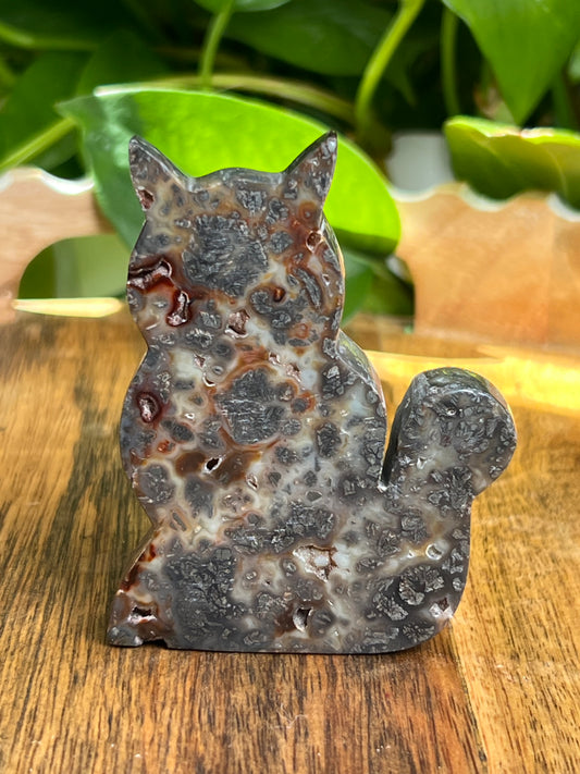 Marcasite Cat: C