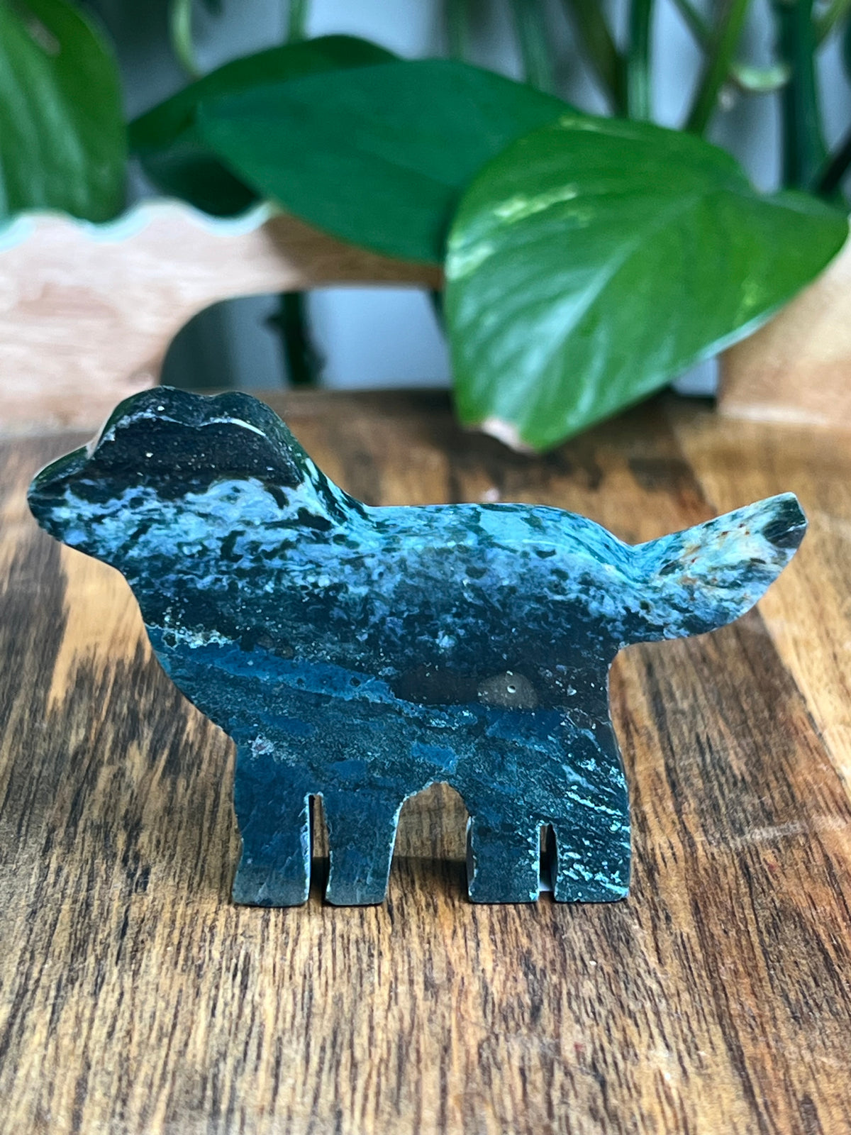 Blue Green Jasper Dog: BC
