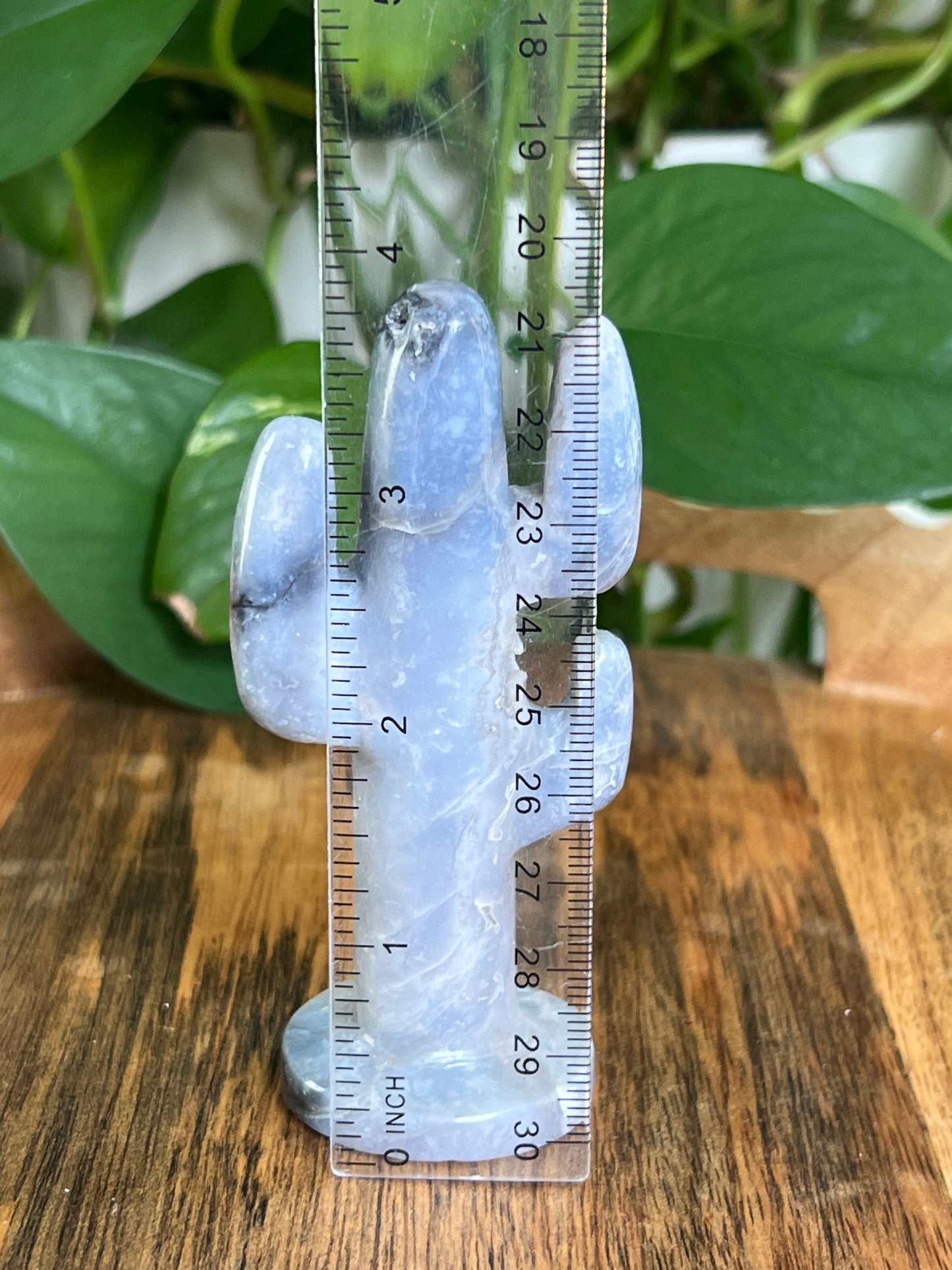 Blue Plume Agate Cactus: CB