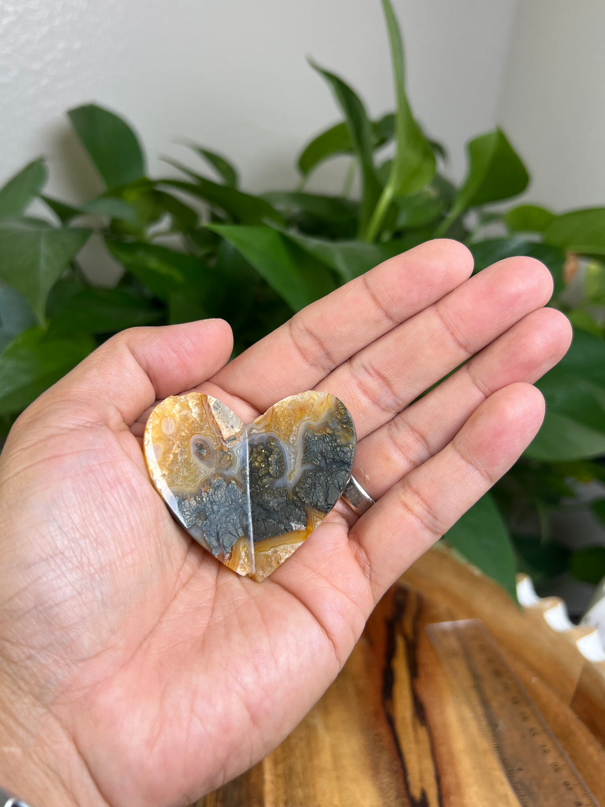 Marcasite 3D Butterfly Heart: TG