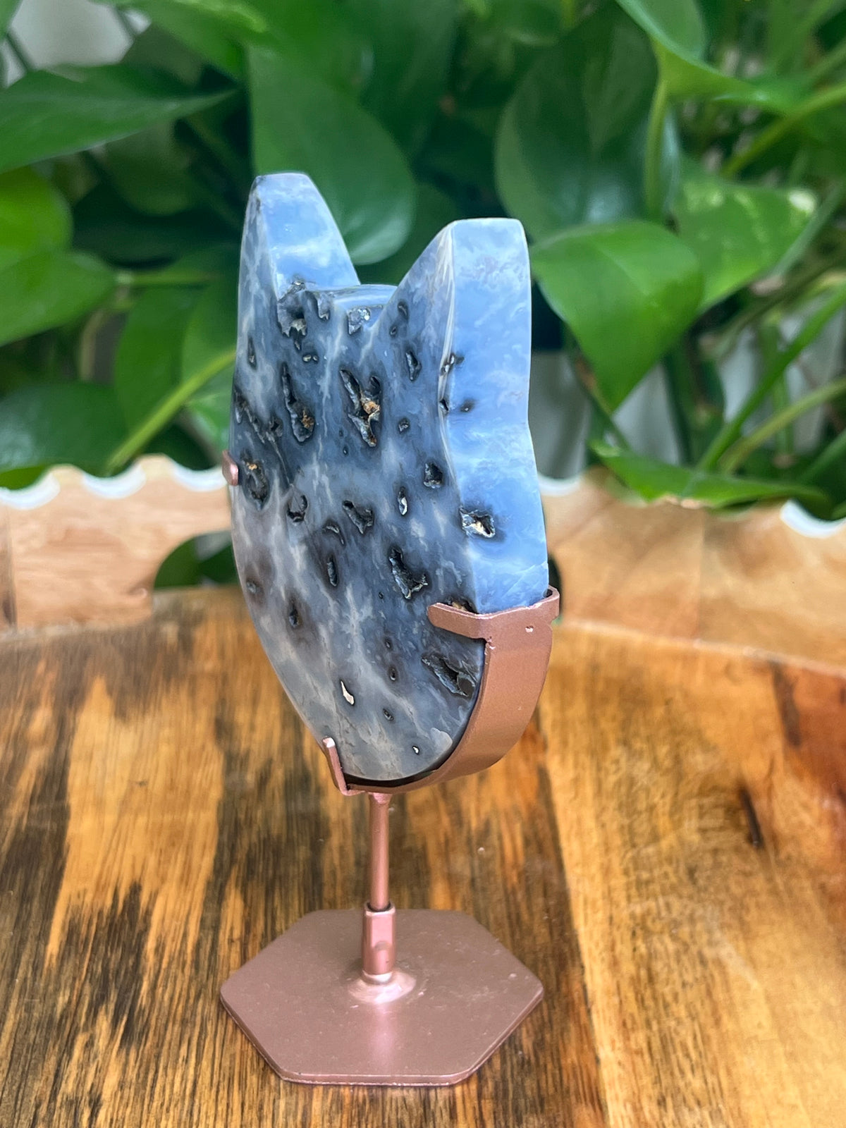 Blue Plume Agate Cat Head: RA