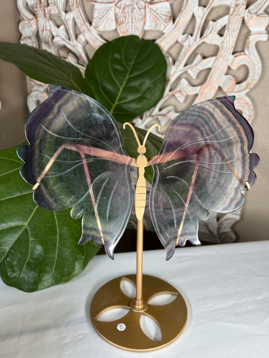 Fluorite Wings