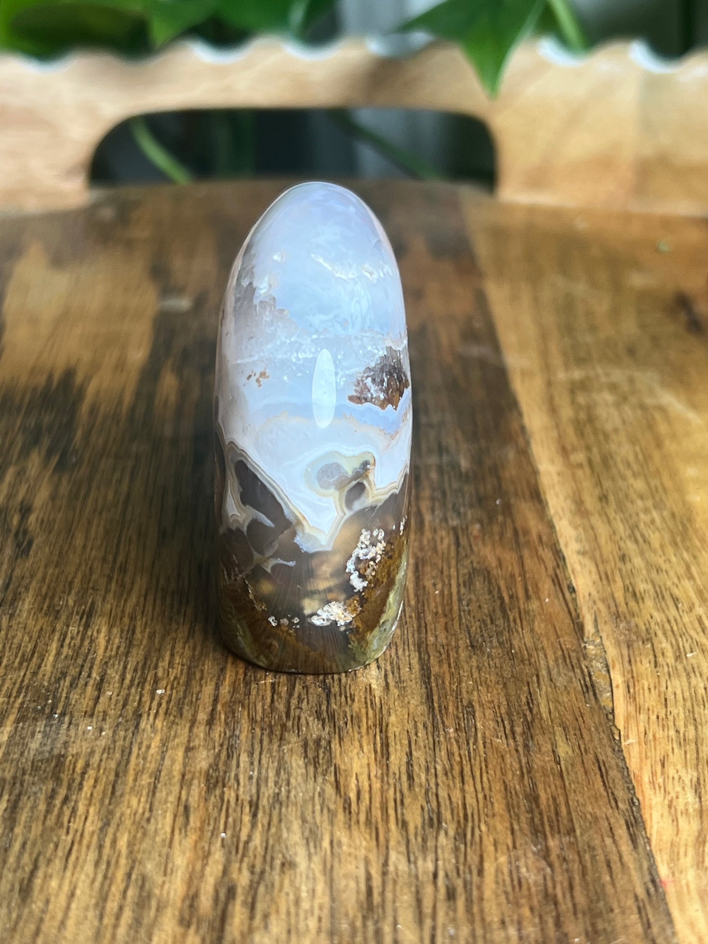 Scenic Moss Agate Bear BX