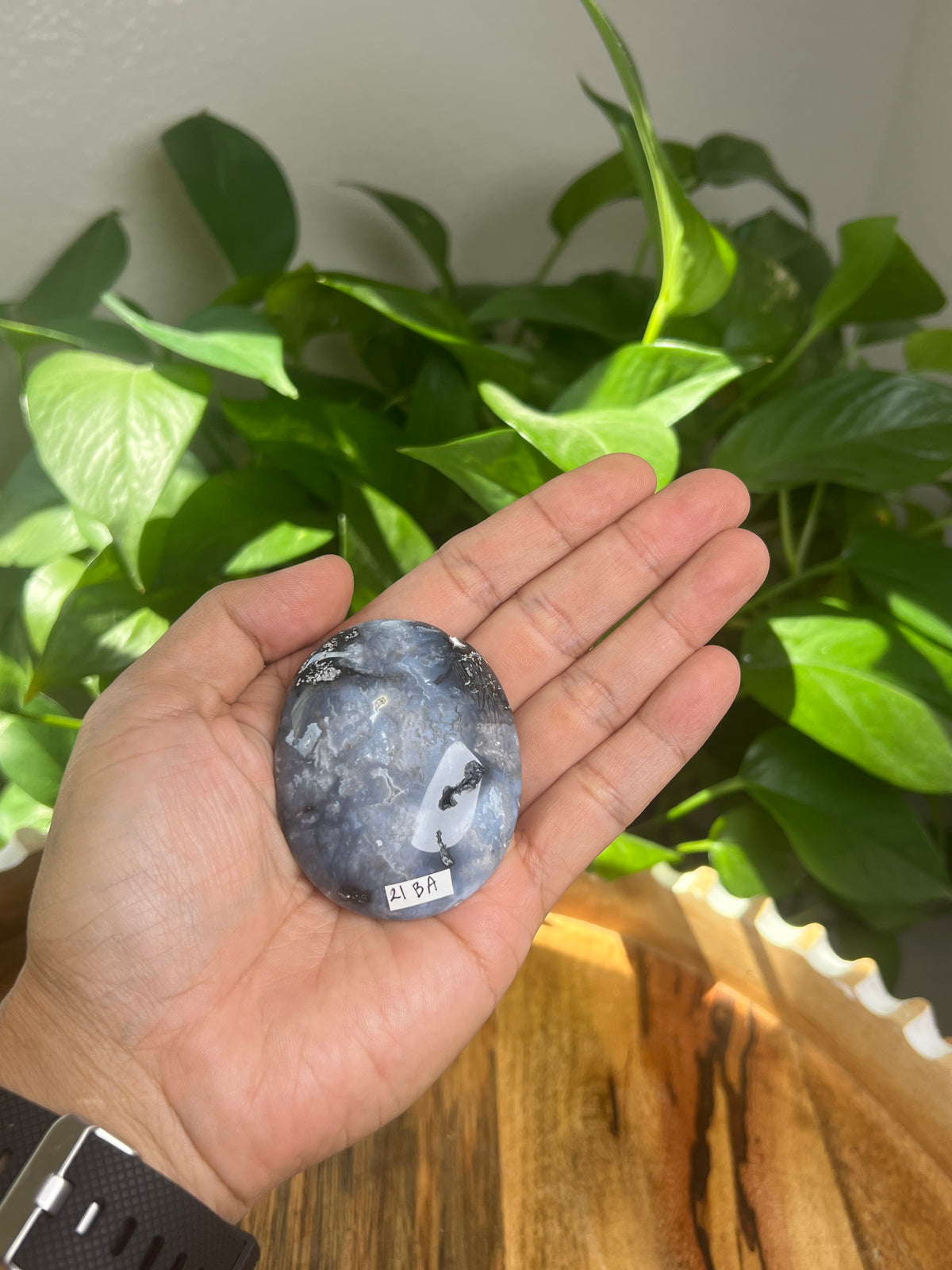 Blue Plume Agate Palmstone: BA