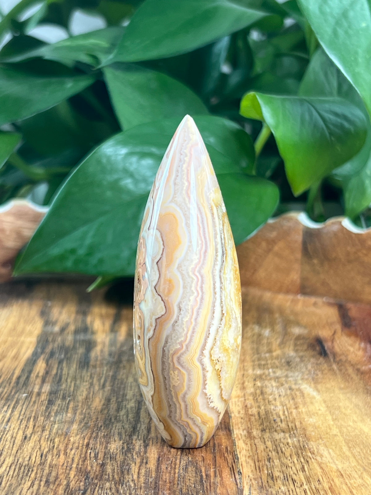 Crazy Lace Agate Flame: BG