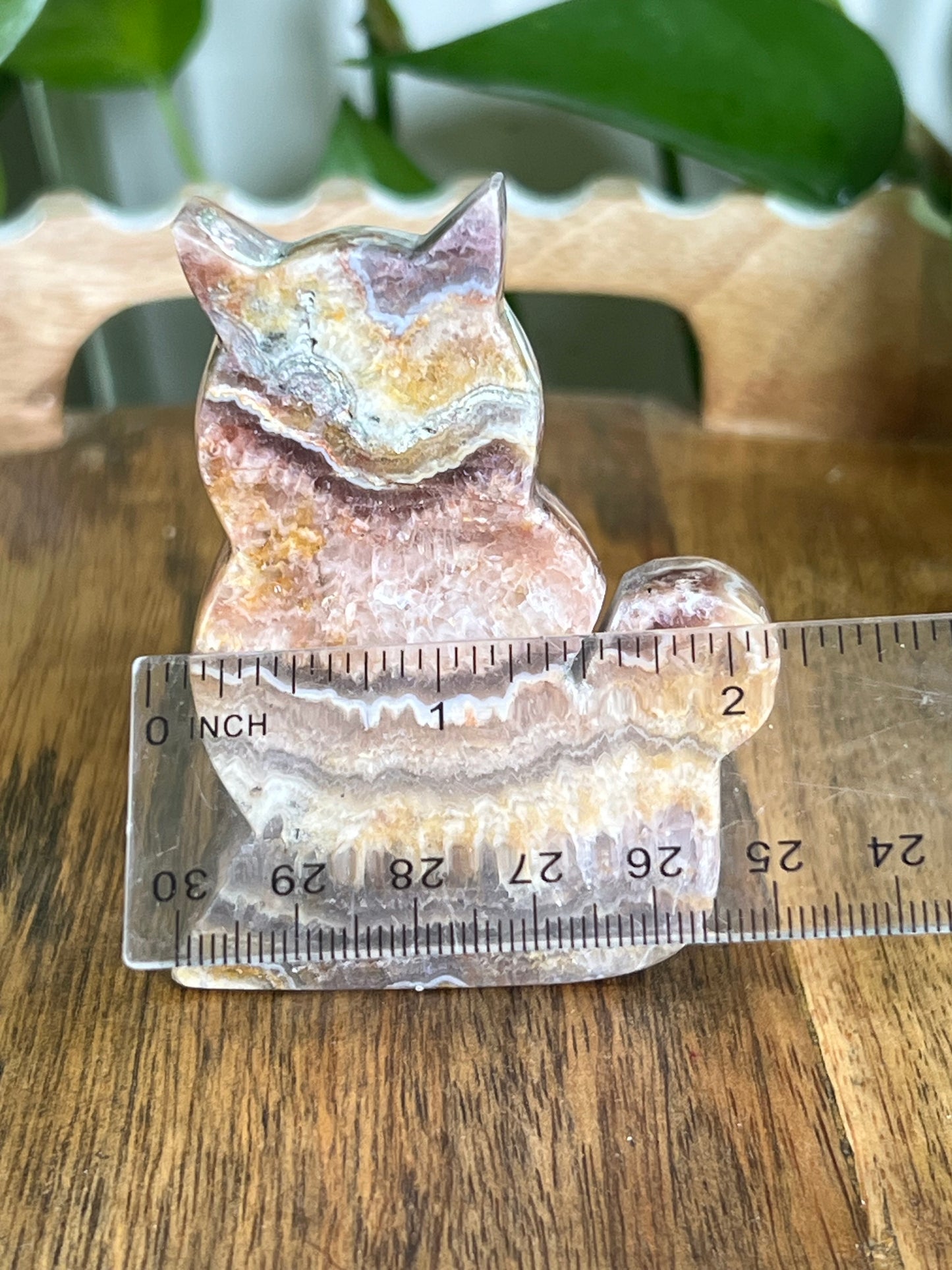 Indonesian Amethyst Cat CD