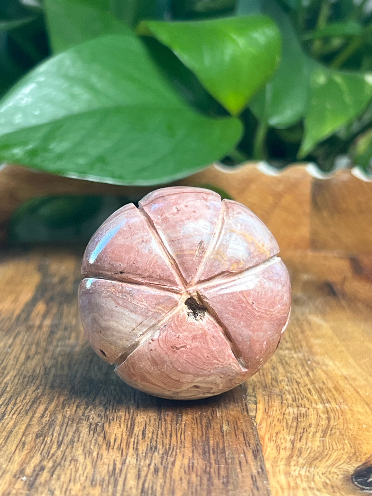 Pink Polycrome Pumpkin: C