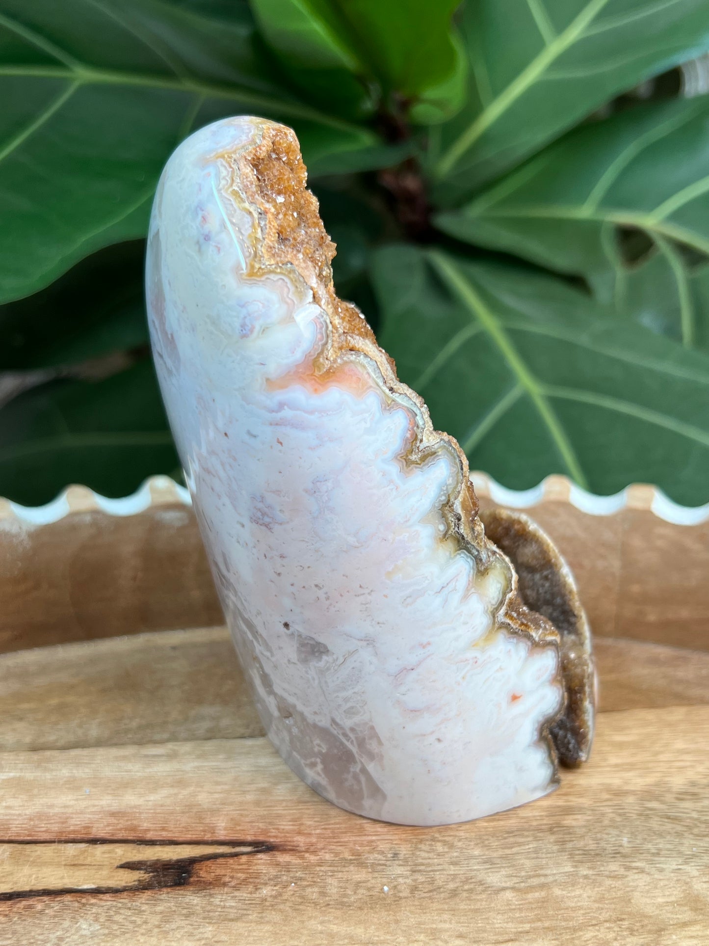 Pink Plume Agate